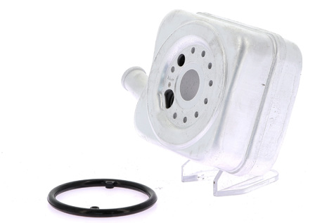 REFROIDI HUILE POUR - Réf. zbF10294 / OEM 078 117 021 A